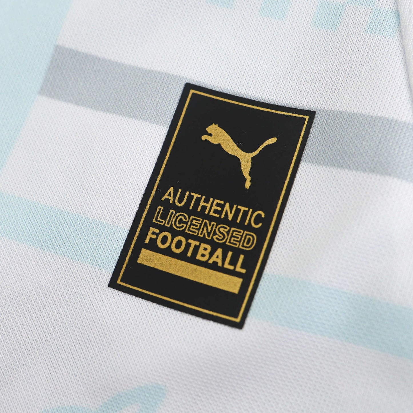 Marseille  2024/25 Home Jersey - Fan Edition