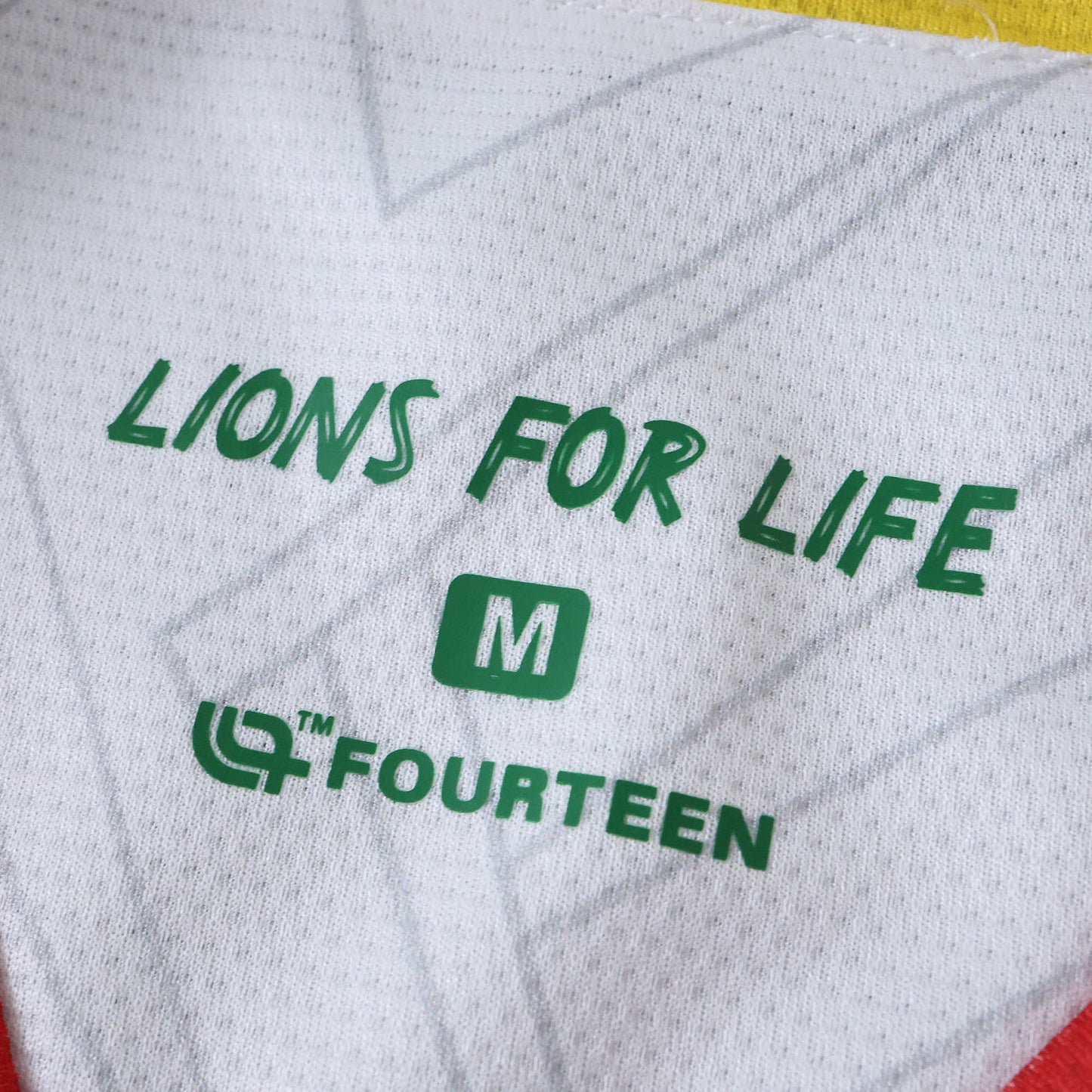 Cameroon 2025/26 Third Jersey - Fan Edition