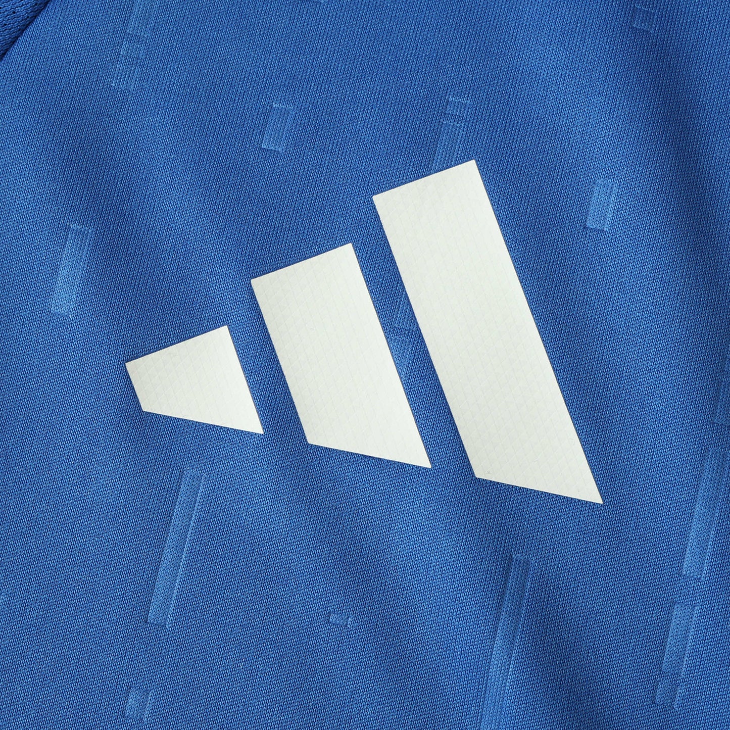 Italy 2024/2025 Home Jersey - Player Edition - The Jersey Vault