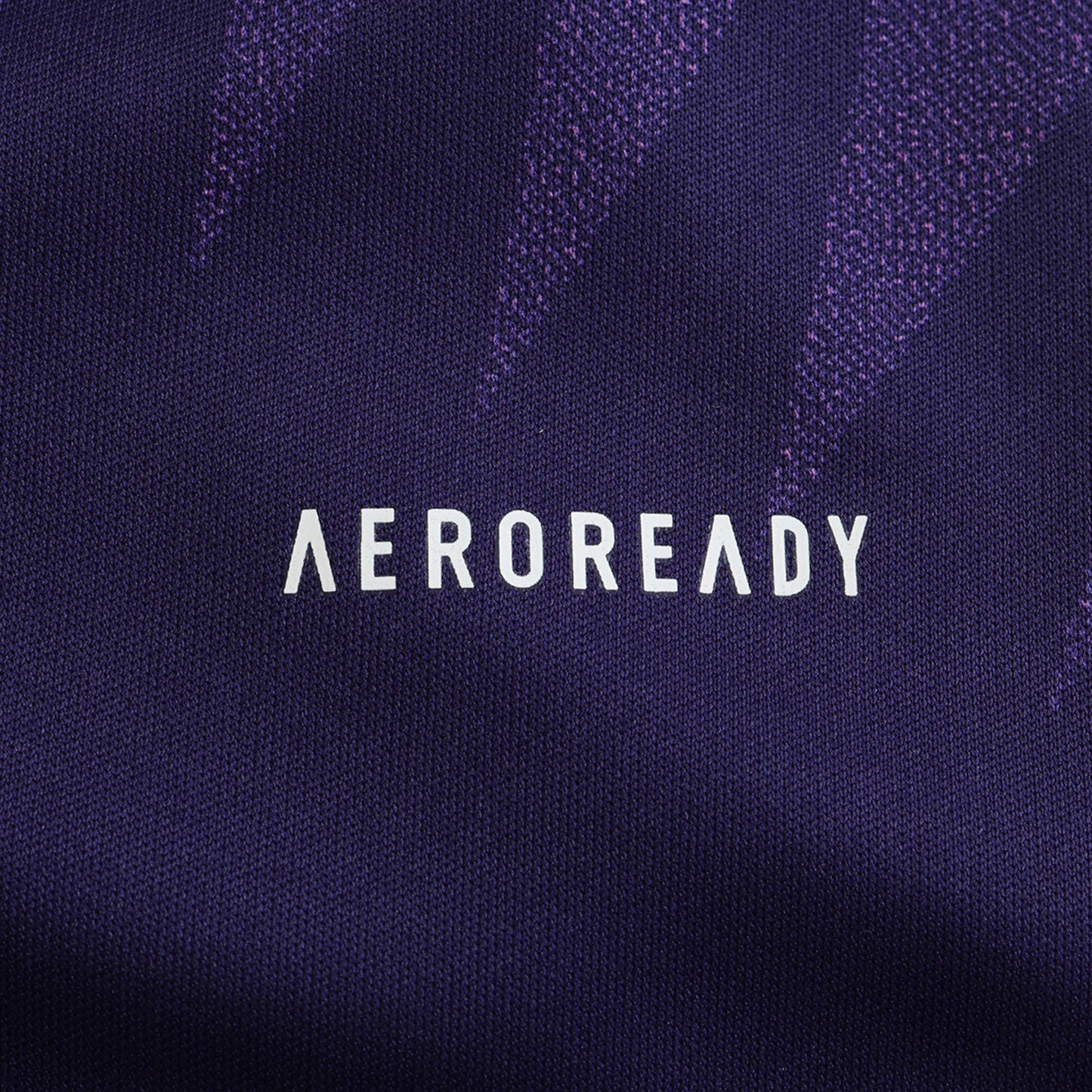 Germany 2024/2025 Away Jersey - Fan Edition