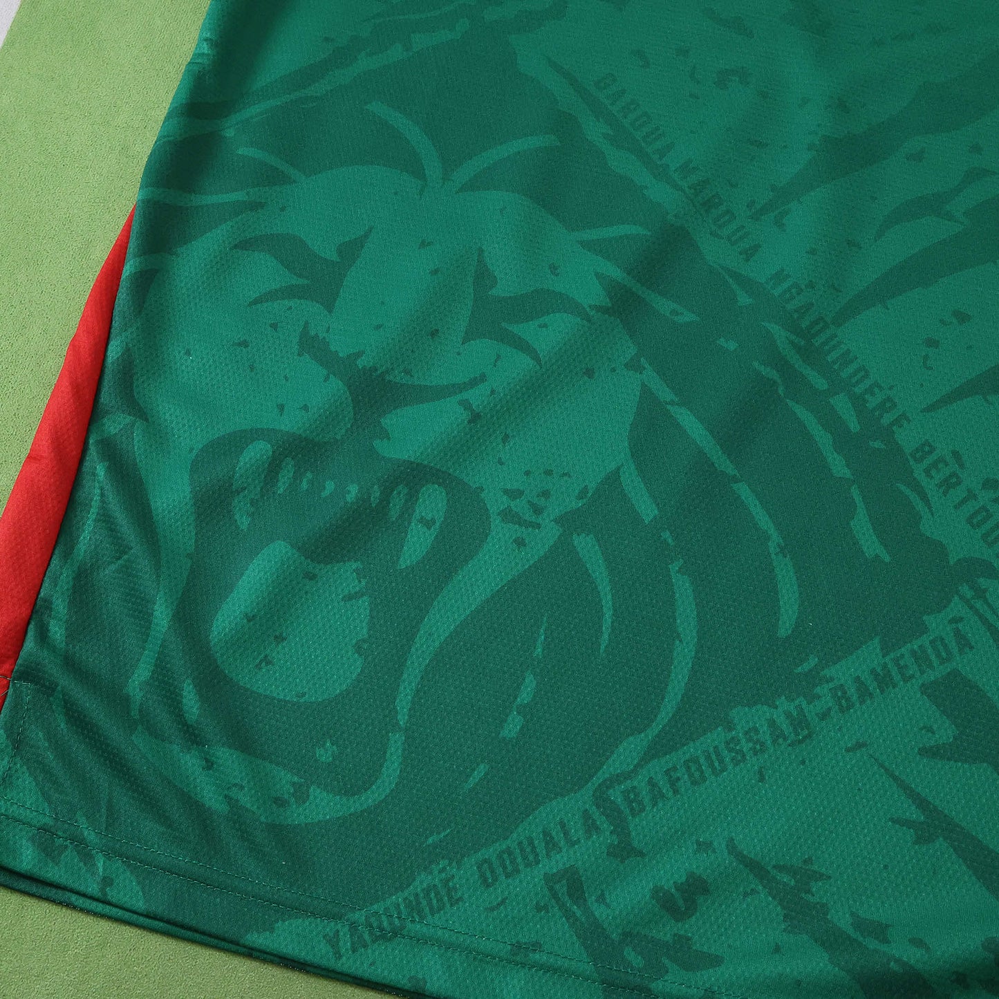 Cameroon 2025/26 Home Jersey - Fan Edition