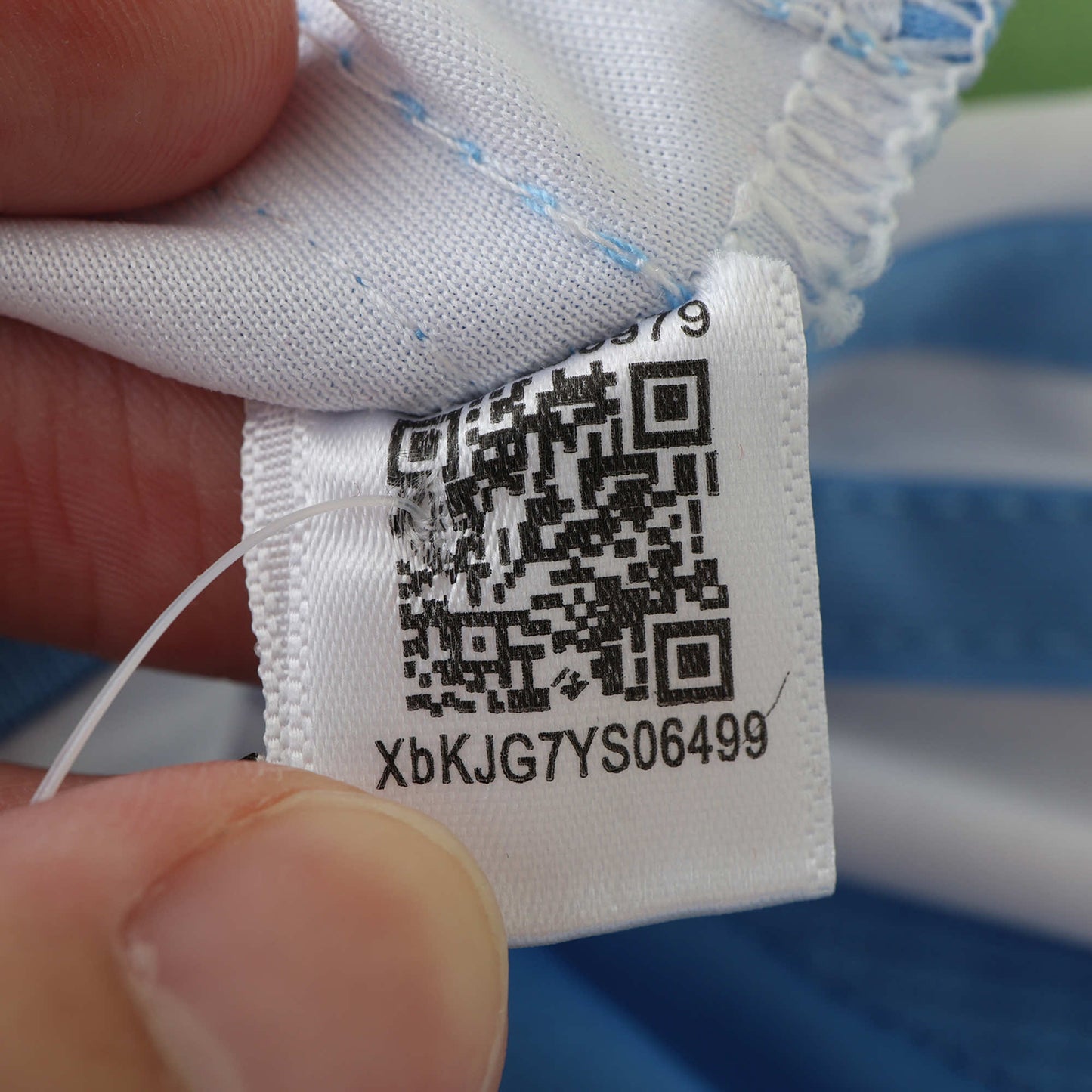Argentina 2024/25 Home Jersey - Fan Edition