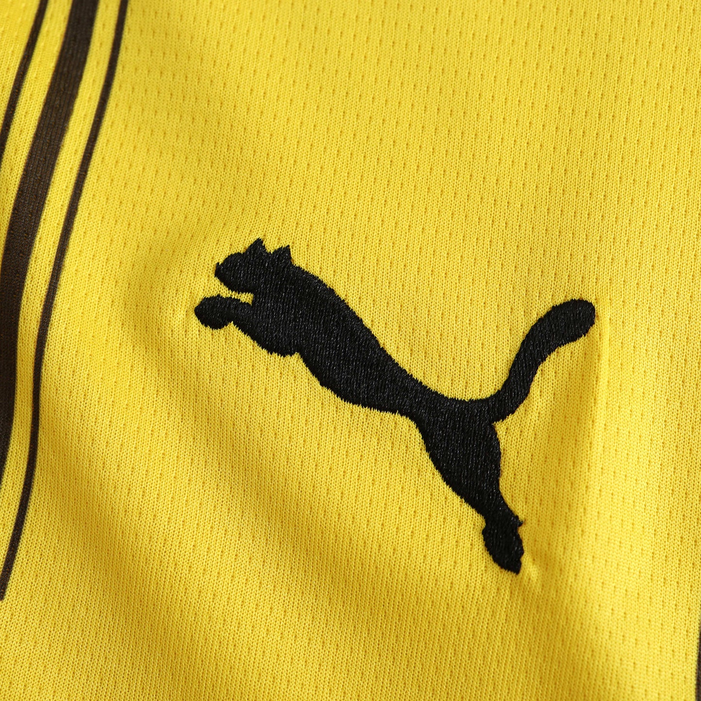 Borussia Dortmund 2024/25 Home Jersey - Fan Edition