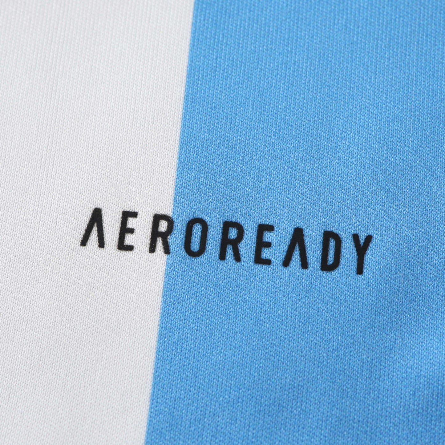 Argentina 2024/25 Home Jersey - Fan Edition