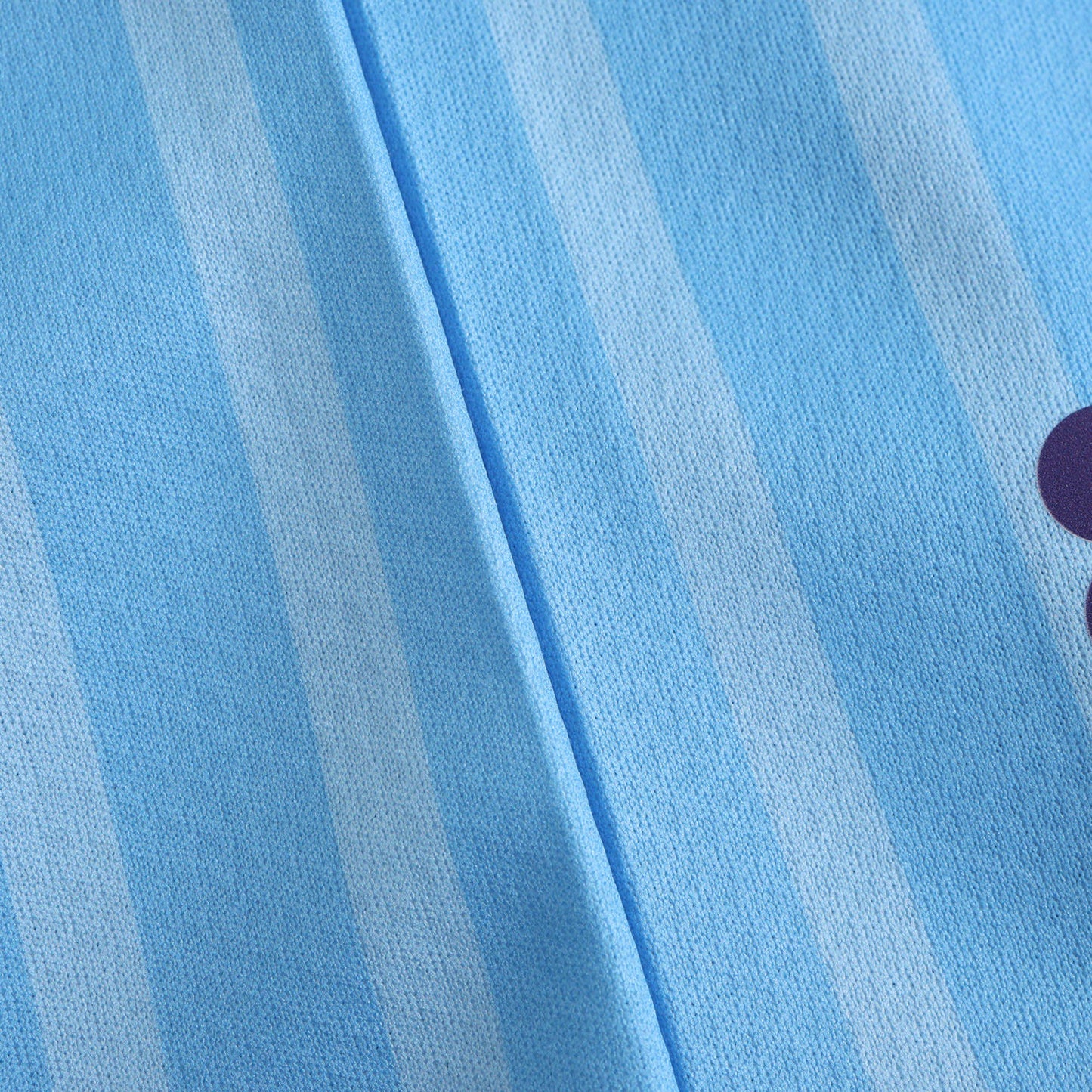 Uruguay 2024/25 Home Jersey - Fan Edition