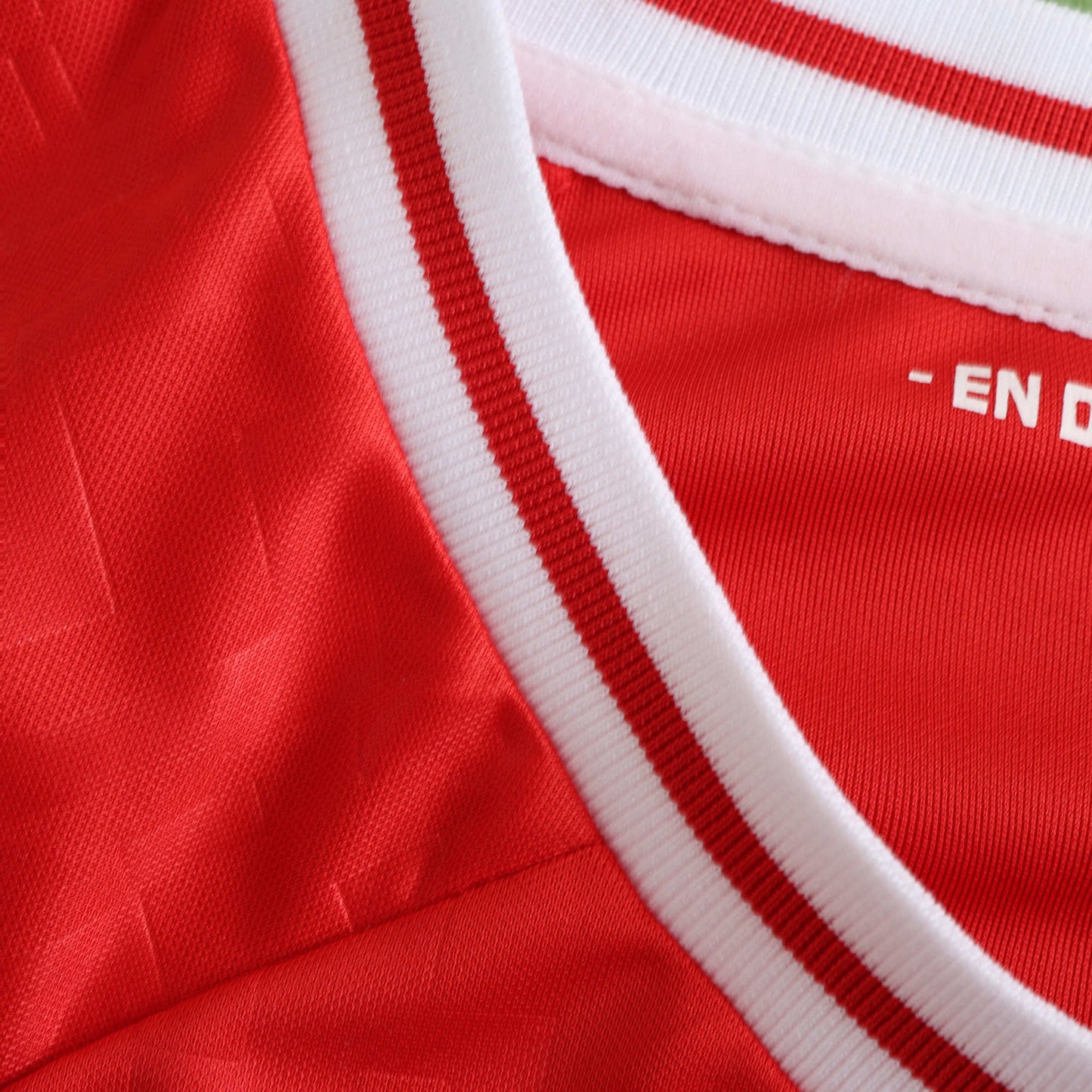 UEFA Denmark 2024/25 Home Jersey - Fan Edition