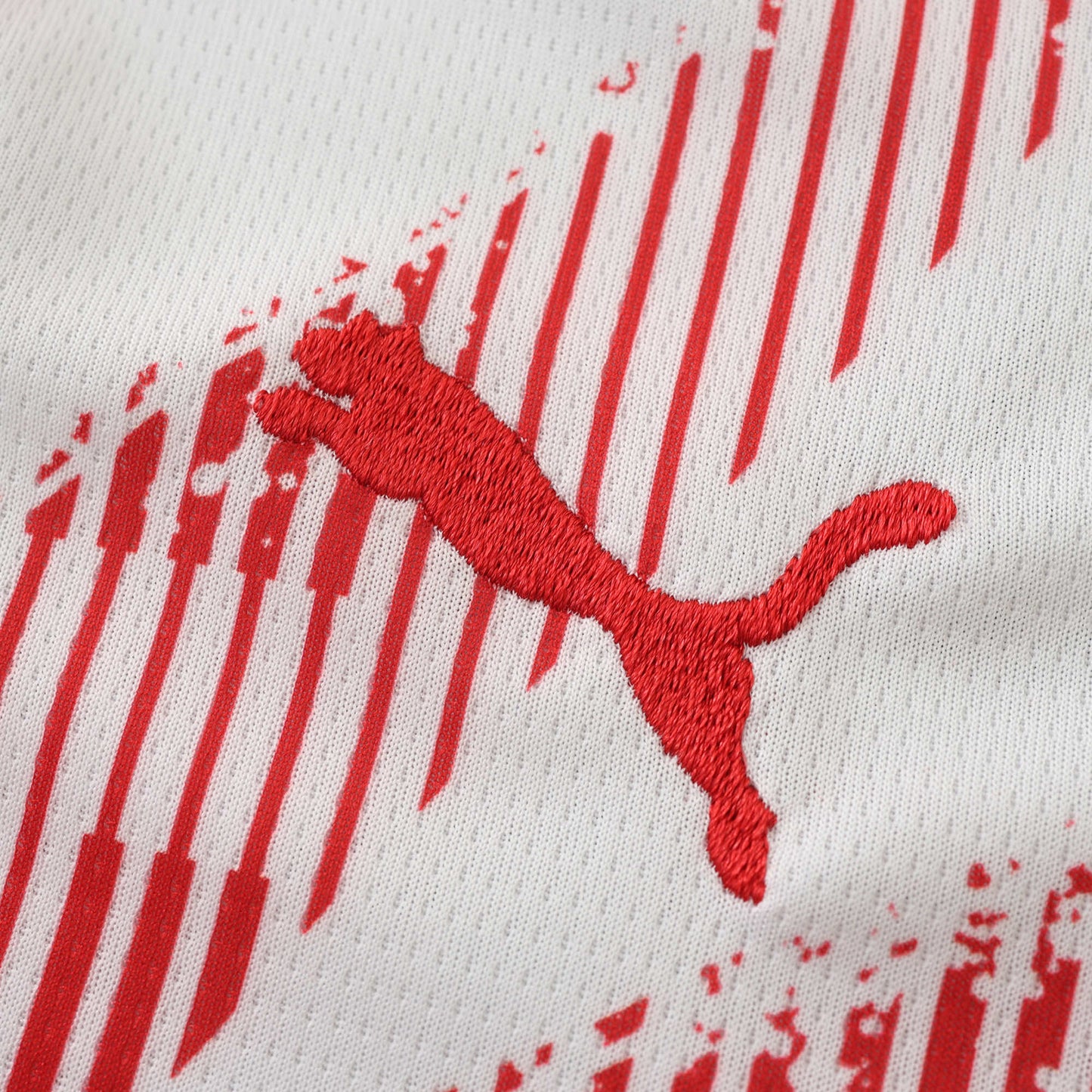 Japan 2024/25 Away Kit - Fan Editioan (Kids)