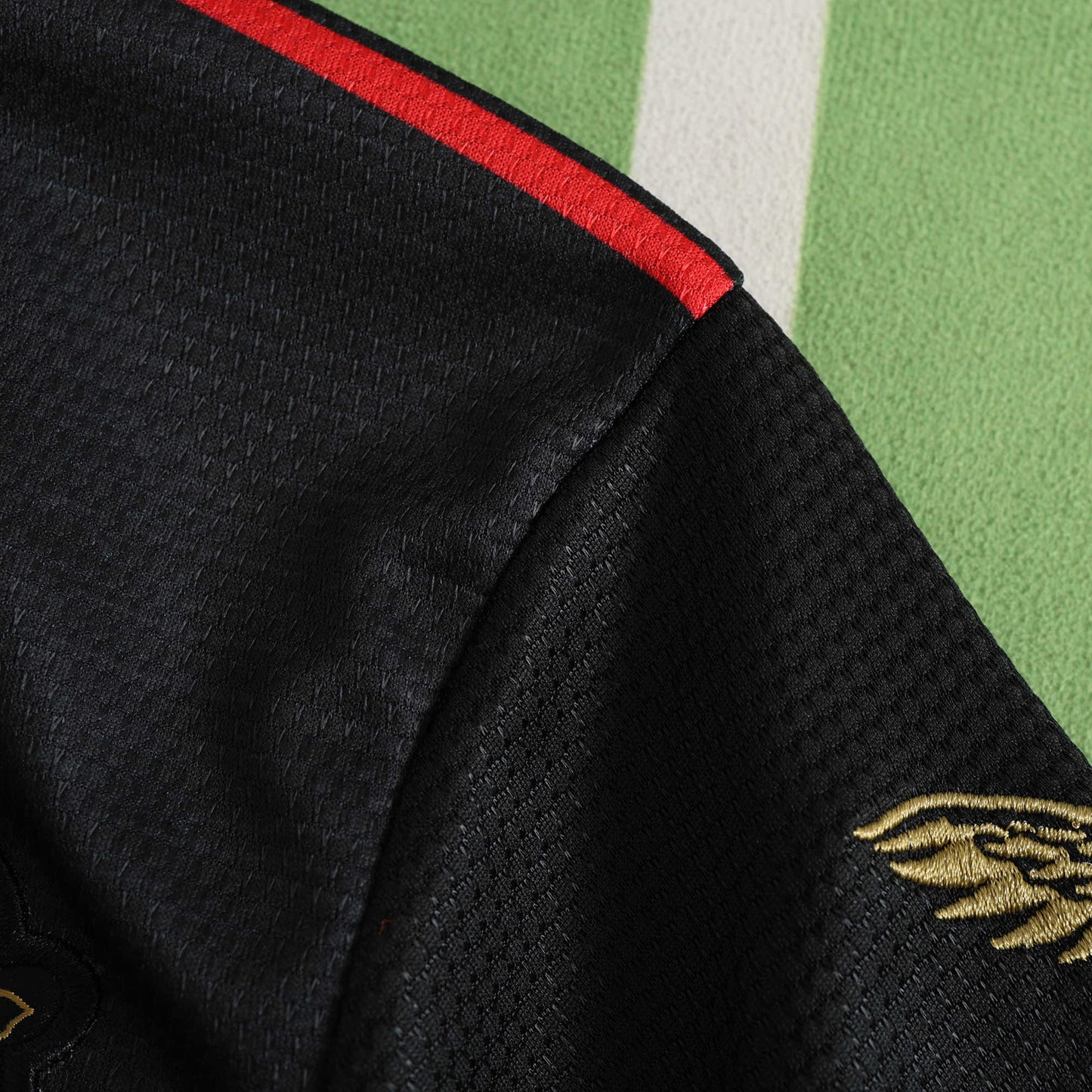 Bayern Leverkusen 2024/25 Special Jersey (Black)- Fan Edition
