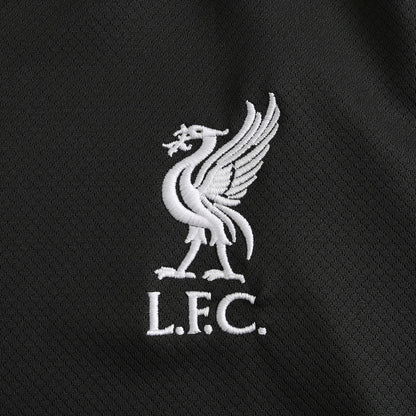 Liverpool 2024/25 Away Jersey - Fan Edition