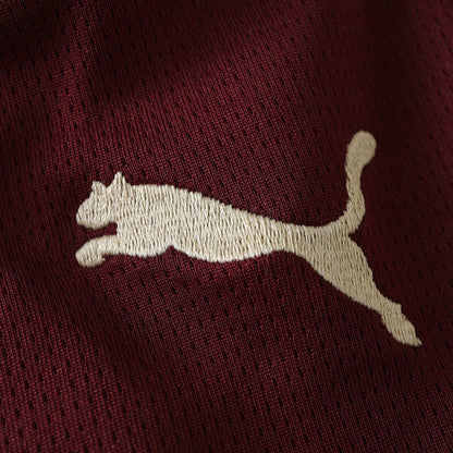 Manchester City 2024/25 Third Jersey - Fan Edition