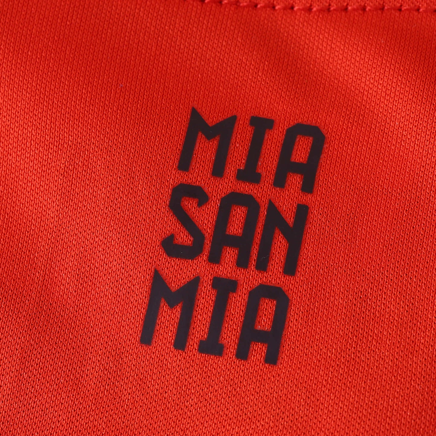 Bayern Munich 2024/25 Longsleeved Home Jersey - Fan Edition