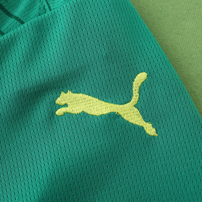 Senegal 2024/25 Home Jersey - Fan Edition