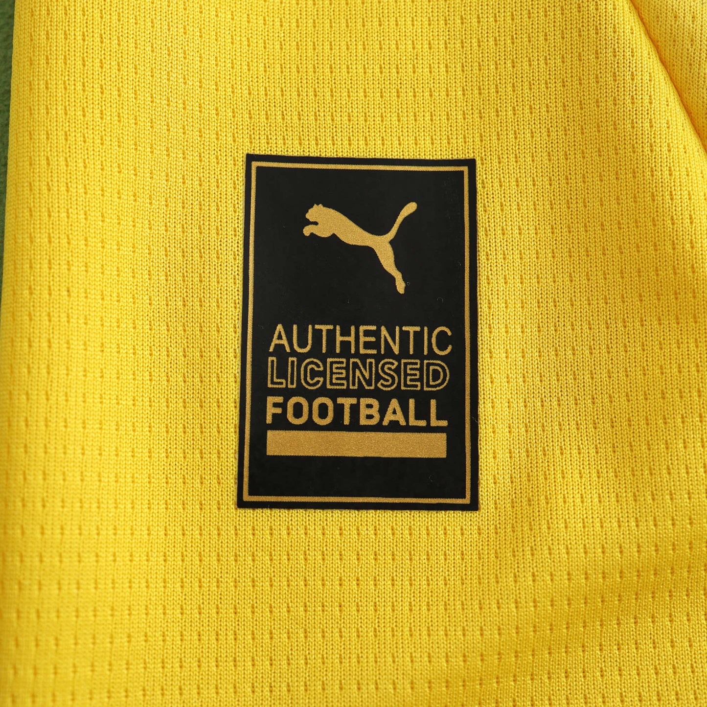 Borussia Dortmund 2024/25 Home Jersey - Fan Edition