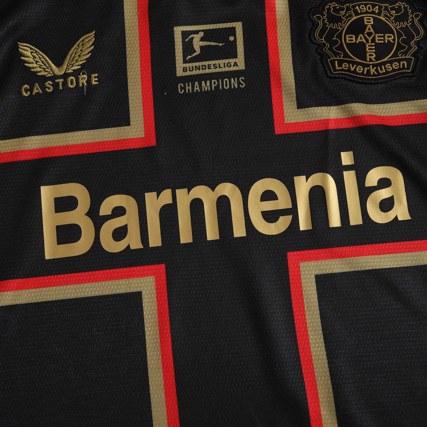 Bayern Leverkusen 2024/25 Special Jersey (Black)- Fan Edition