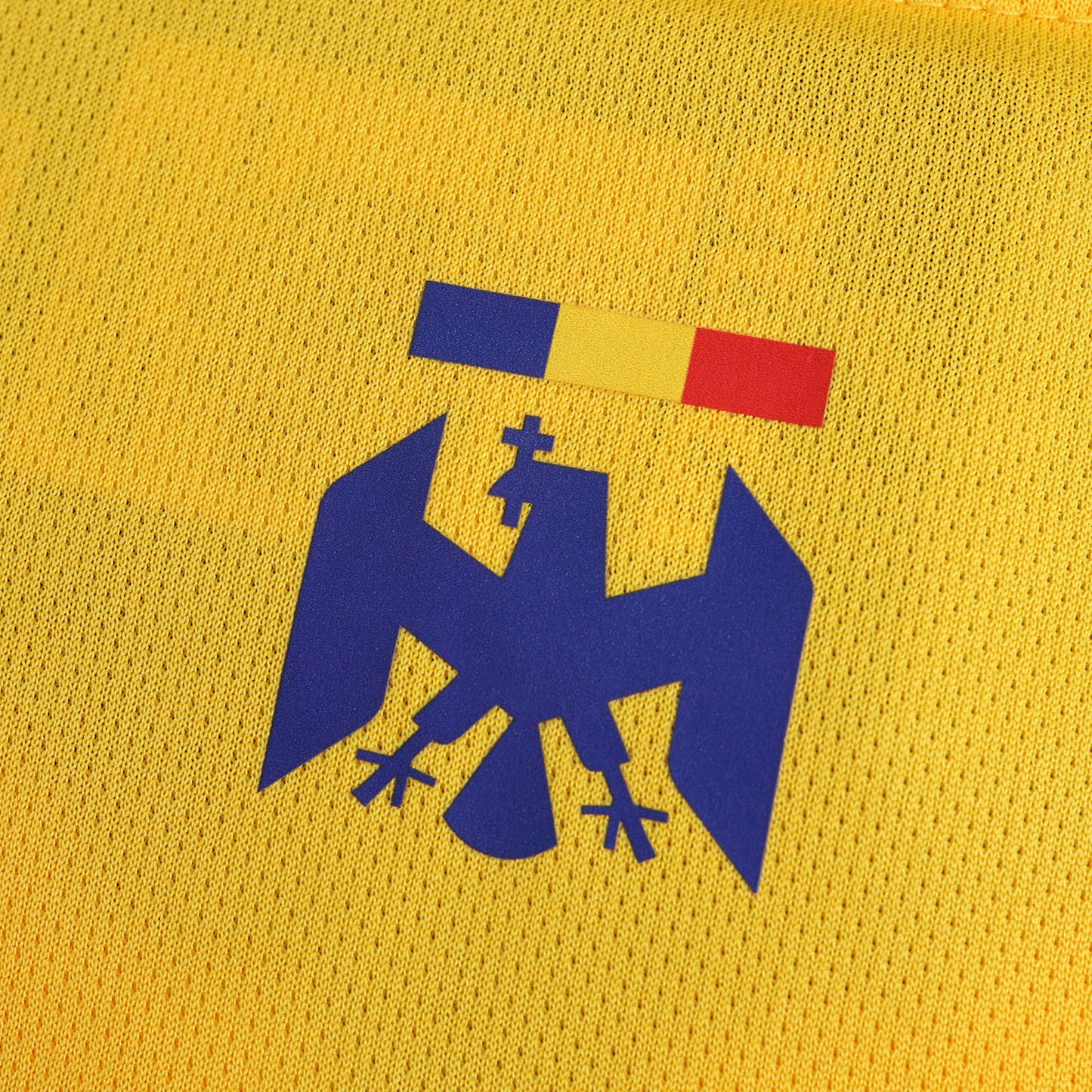 Romania 2024/25 Home Jersey - Fan Edition
