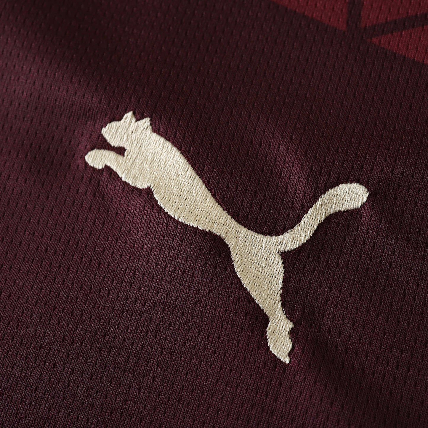 Manchester City 2024/25 Third Jersey - Fan Edition