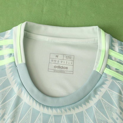 Mexico 2024/25 Away Jersey - Fan Edition