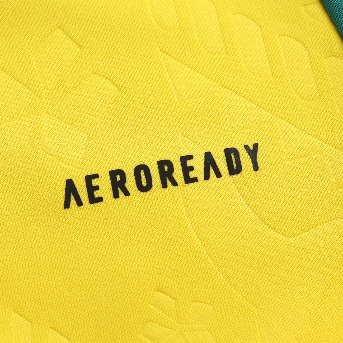 Jamaica 2024/25 Home Jersey - Fan Edition