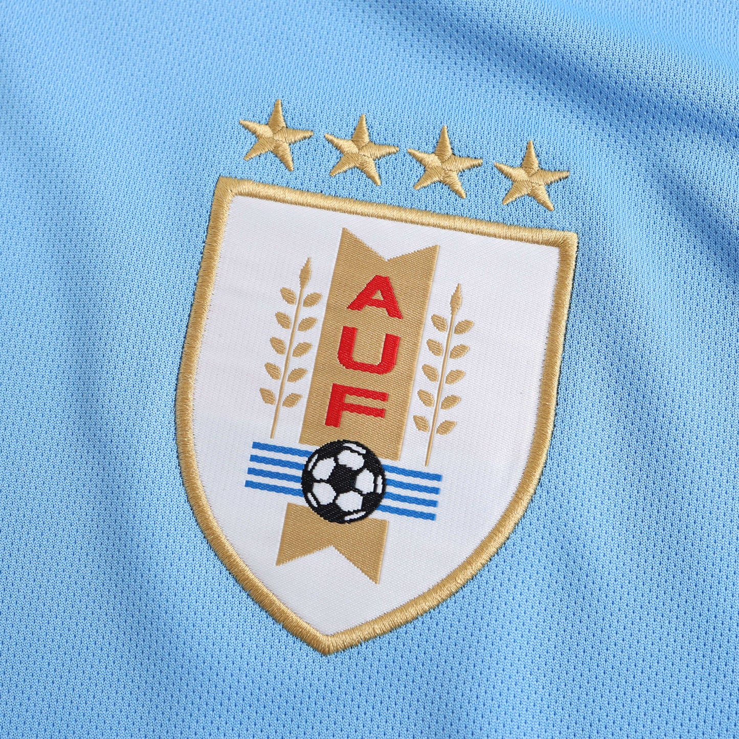 Uruguay 2023/24 Home Jersey - Fan Edition