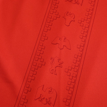 Romania 2024/25 Away Jersey - Fan Edition