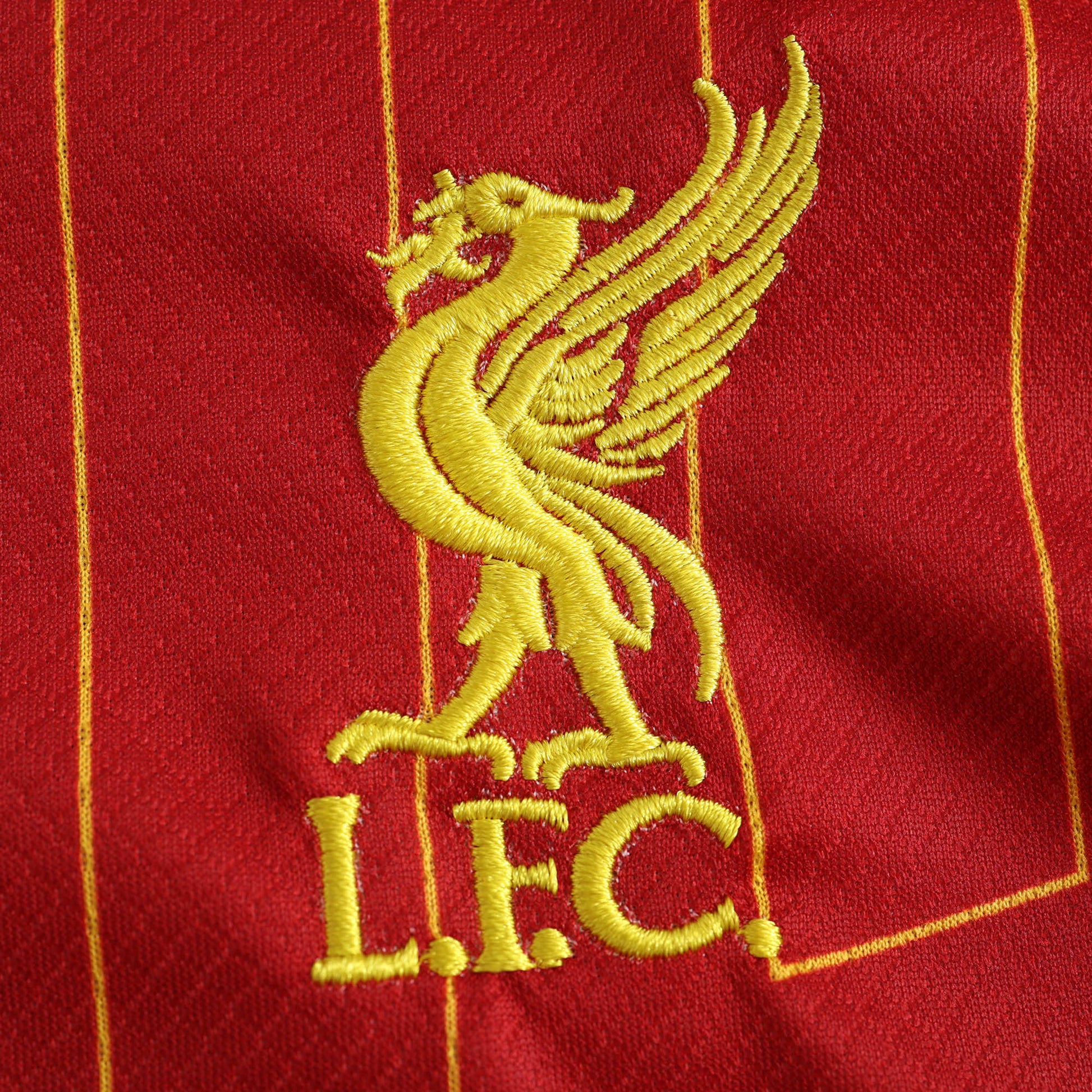 Liverpool 2024/25 Home Kit - Fan Edition (Kids) - The Jersey Vault