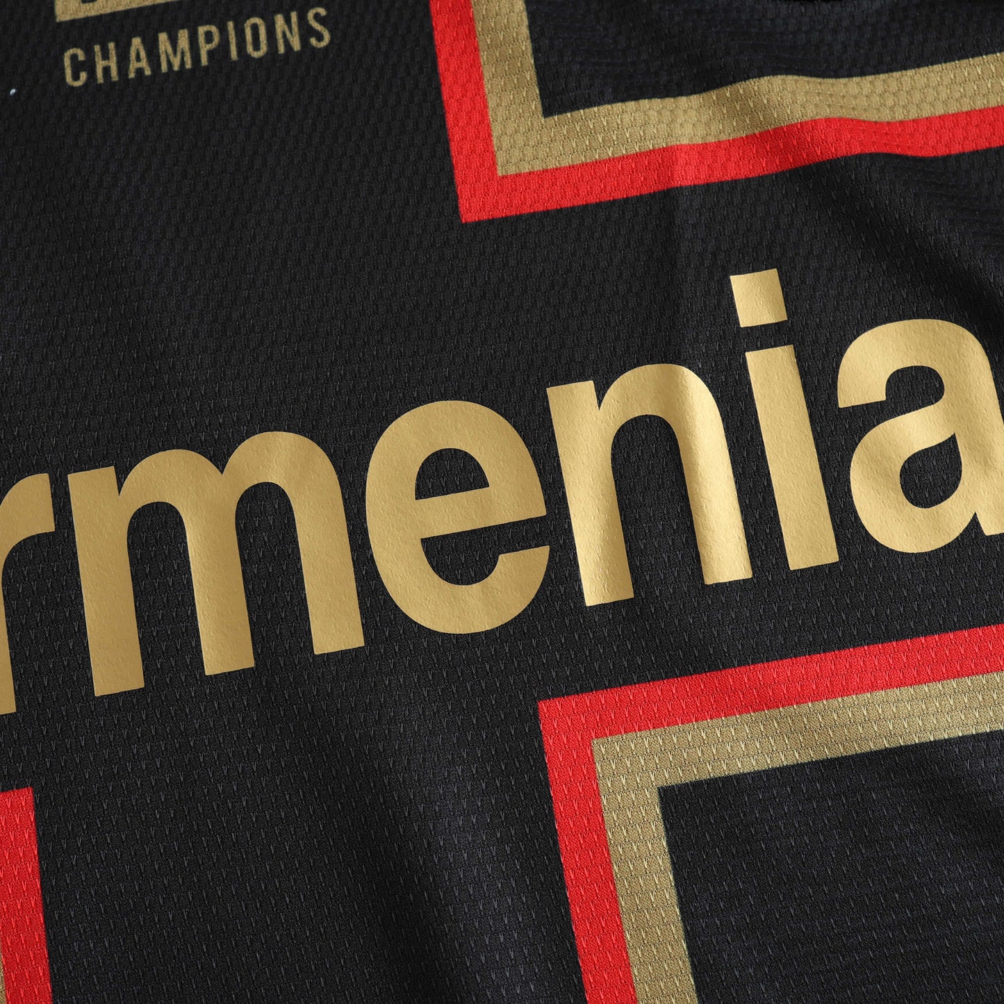 Bayern Leverkusen 2024/25 Special Jersey (Black)- Fan Edition