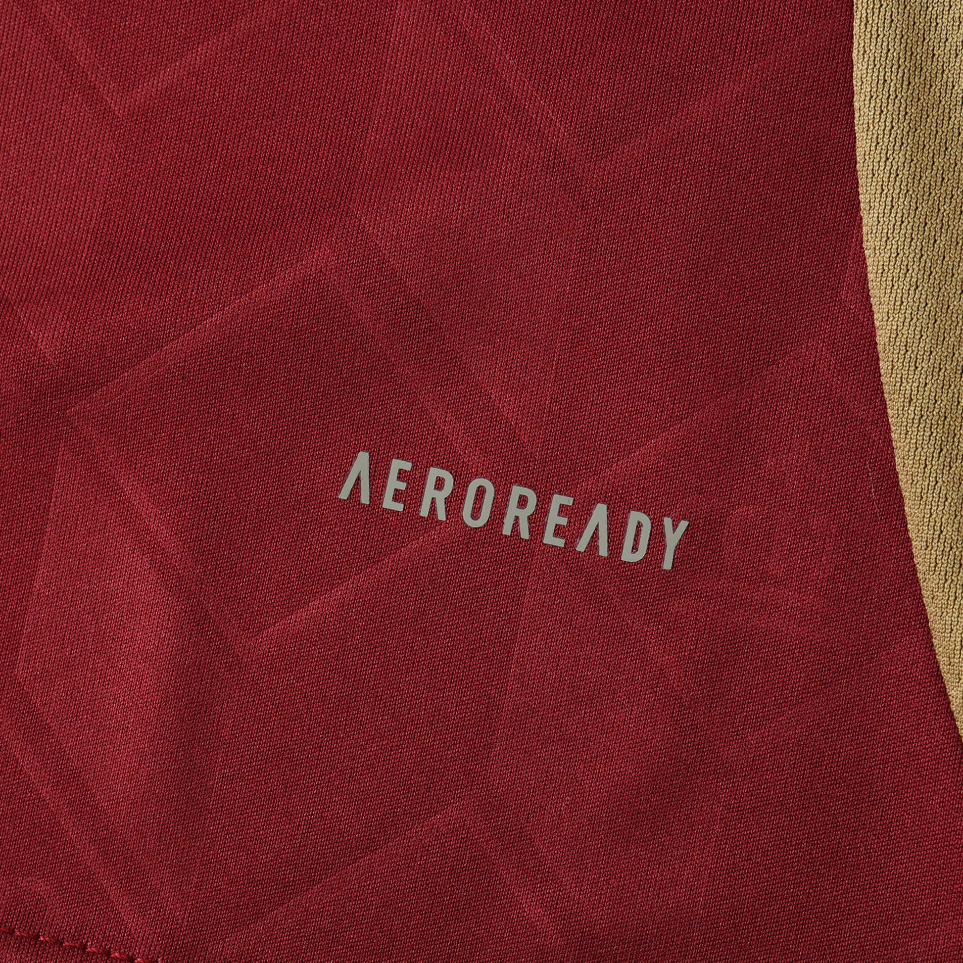 Belgium 2024/25 Home Jersey - Fan Edition - The Jersey Vault