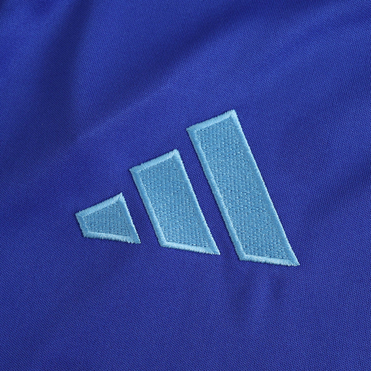 Argentina 2024/25 Away Jersey - Fan Edition