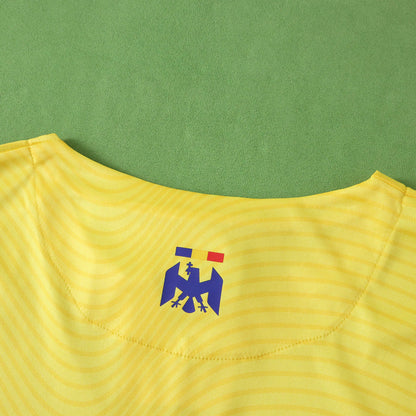 Romania 2025/26 Home Jersey - Fan Edition