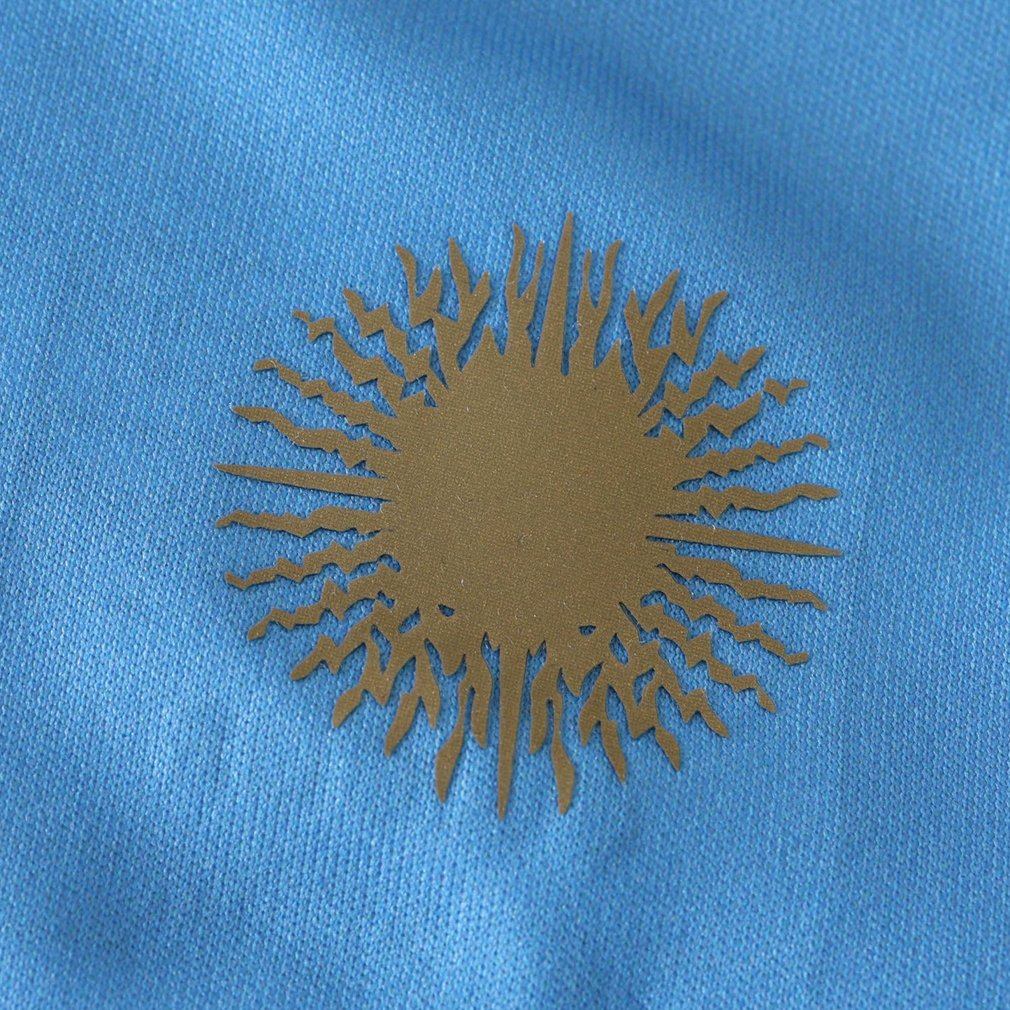 Argentina 2024/25 Home Jersey - Fan Edition