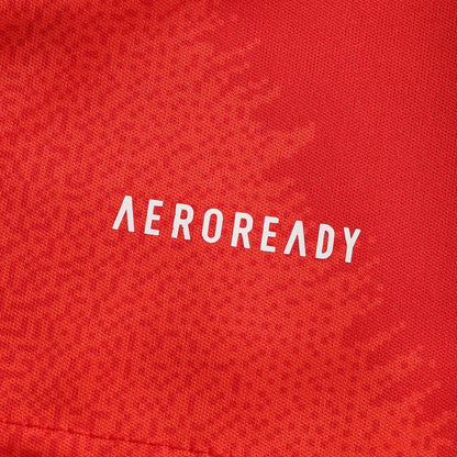 Spain 2024/25 Home Jersey - Fan Edition - The Jersey Vault