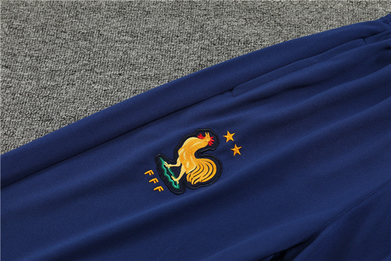 France 2024/25 Training Tracksuit (Gold)