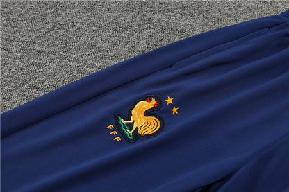 France 2024/25 Training Tracksuit (Gold)