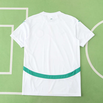 Senegal 2024/25 Away Jersey - Fan Edition
