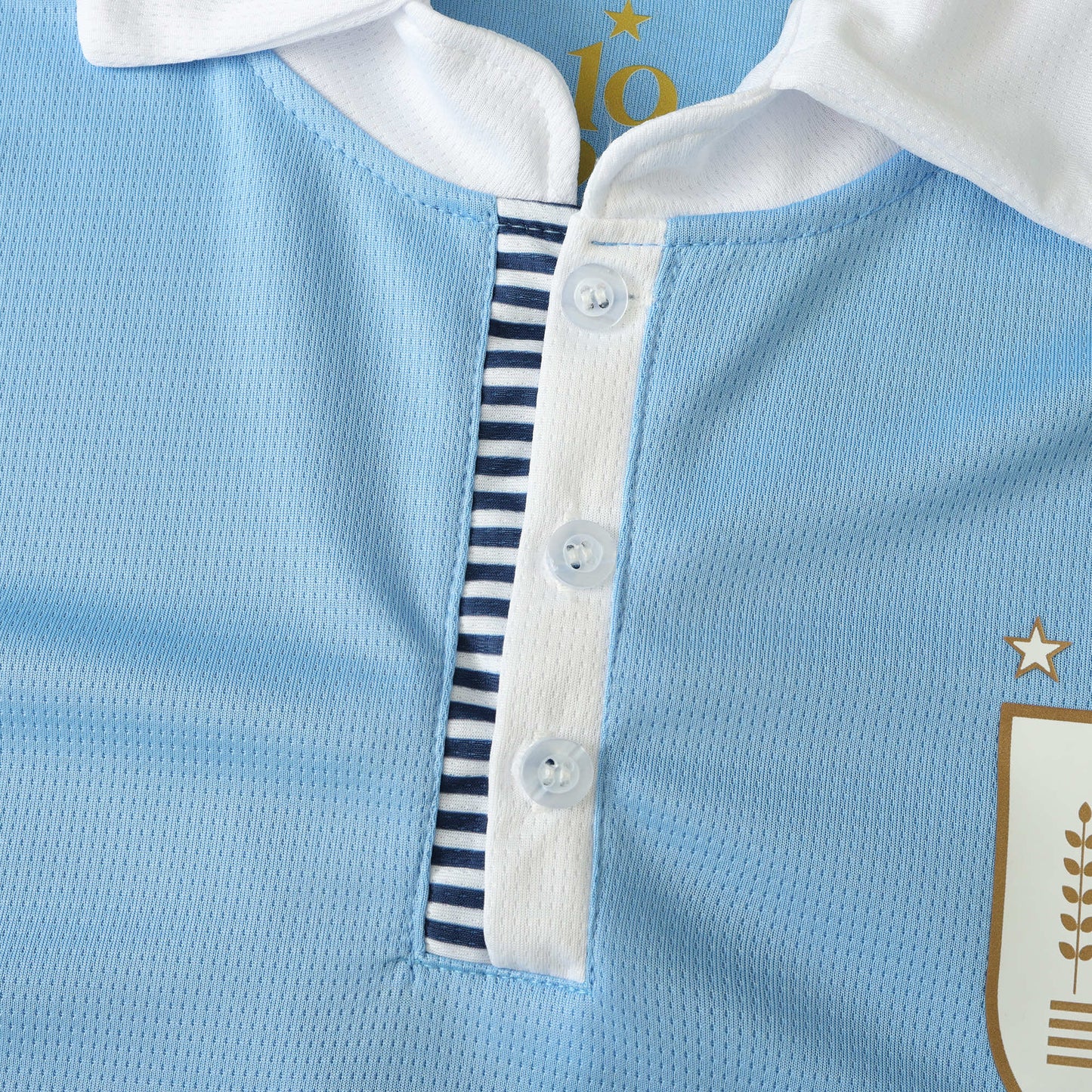 Uruguay 2024/25 Blue Commemorative Jersey - Special Edition