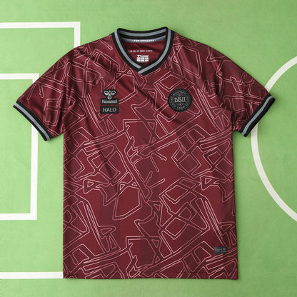Denmark 2024/25 Home Jersey - Fan Edition
