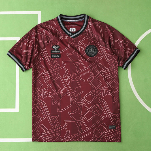 Denmark 2024/25 Home Jersey - Fan Edition