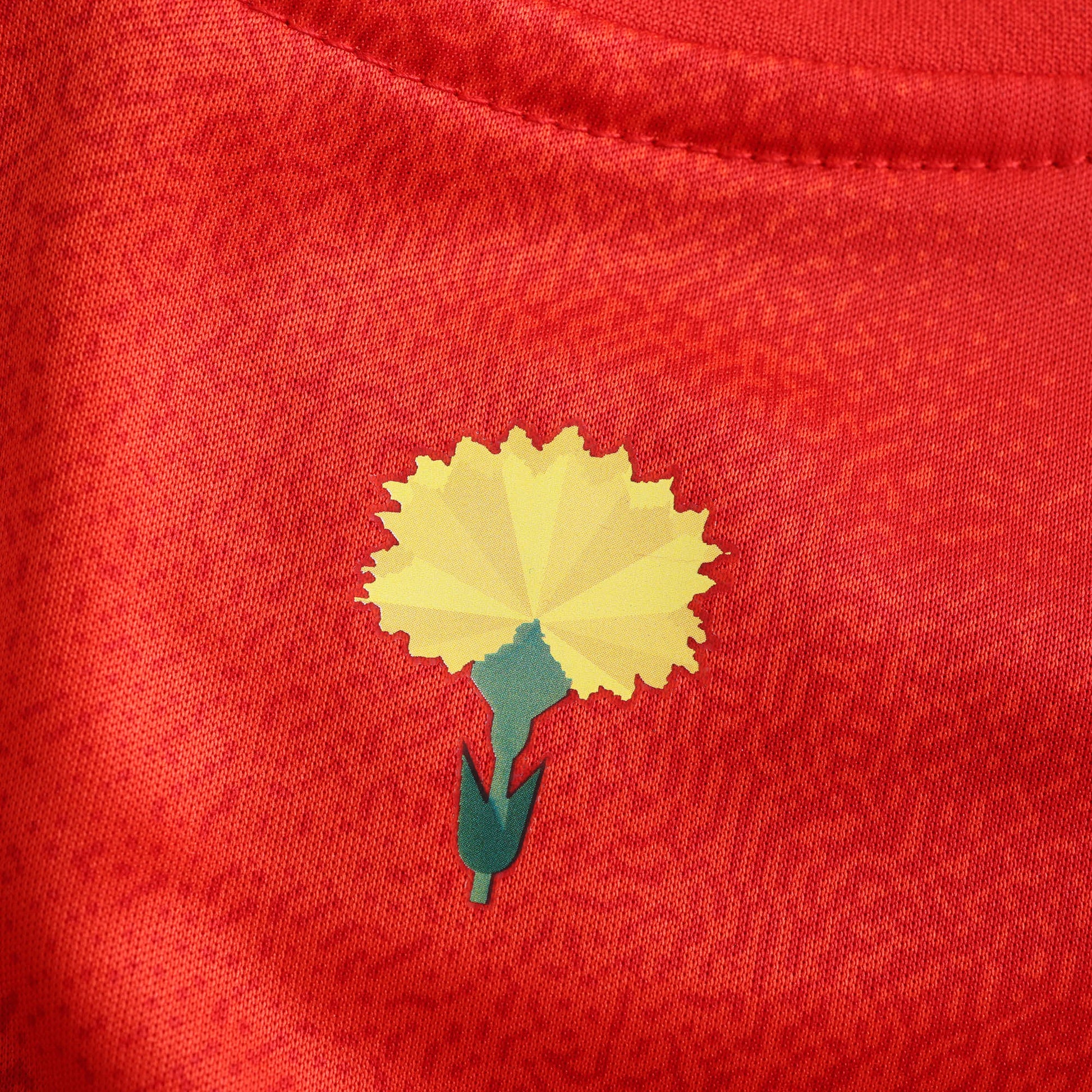 Spain 2024/25 Home Kit - Fan Edition (Kids) - The Jersey Vault