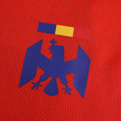 Romania 2024/25 Away Jersey - Fan Edition