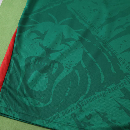 Cameroon 2025/26 Home Jersey - Fan Edition