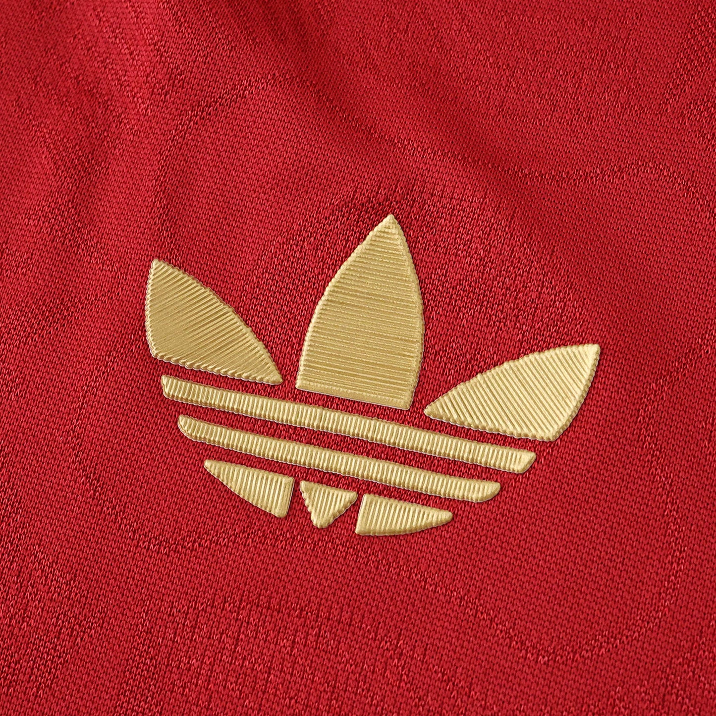 Bayern Munich 2024/25 Longsleeved 125th Anniversary Jersey - Special Edition