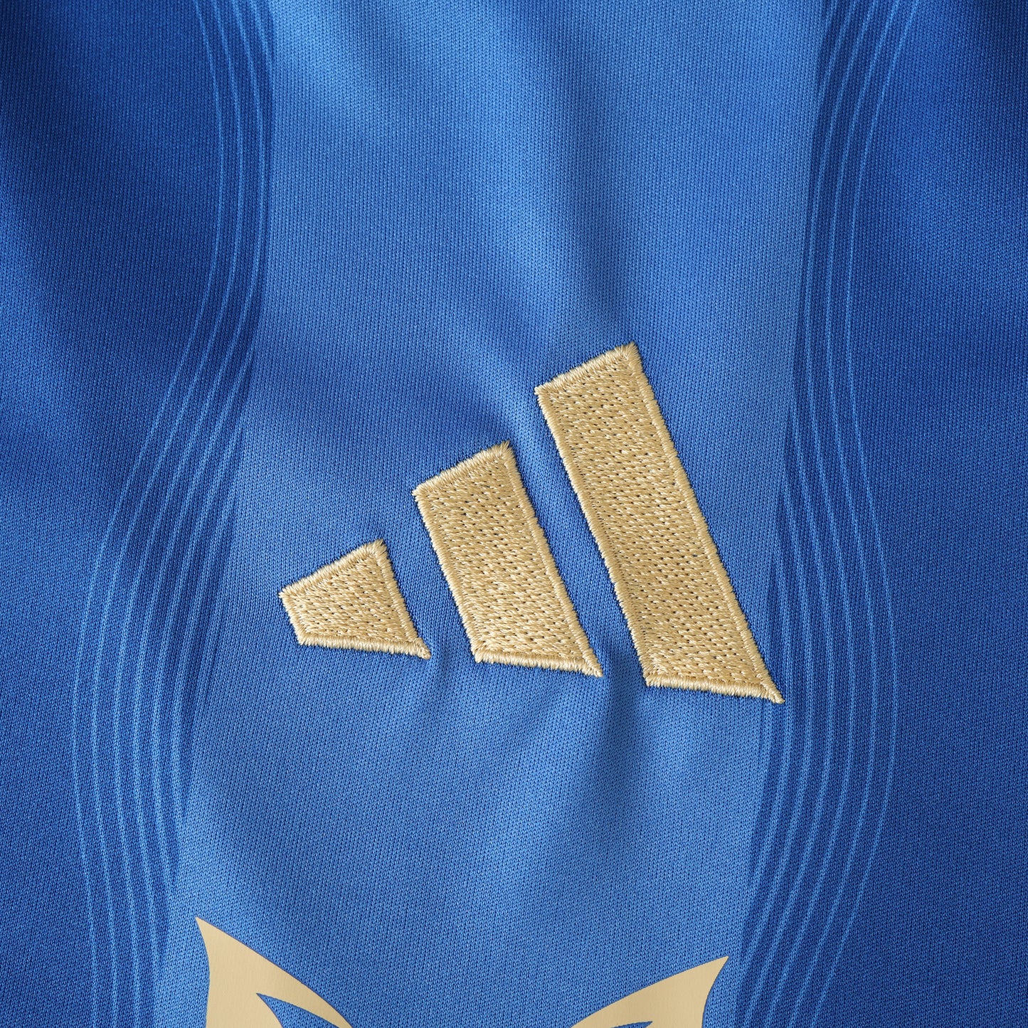 Argentina 2024/25 Blue Messi Special Jersey - Fan Edition